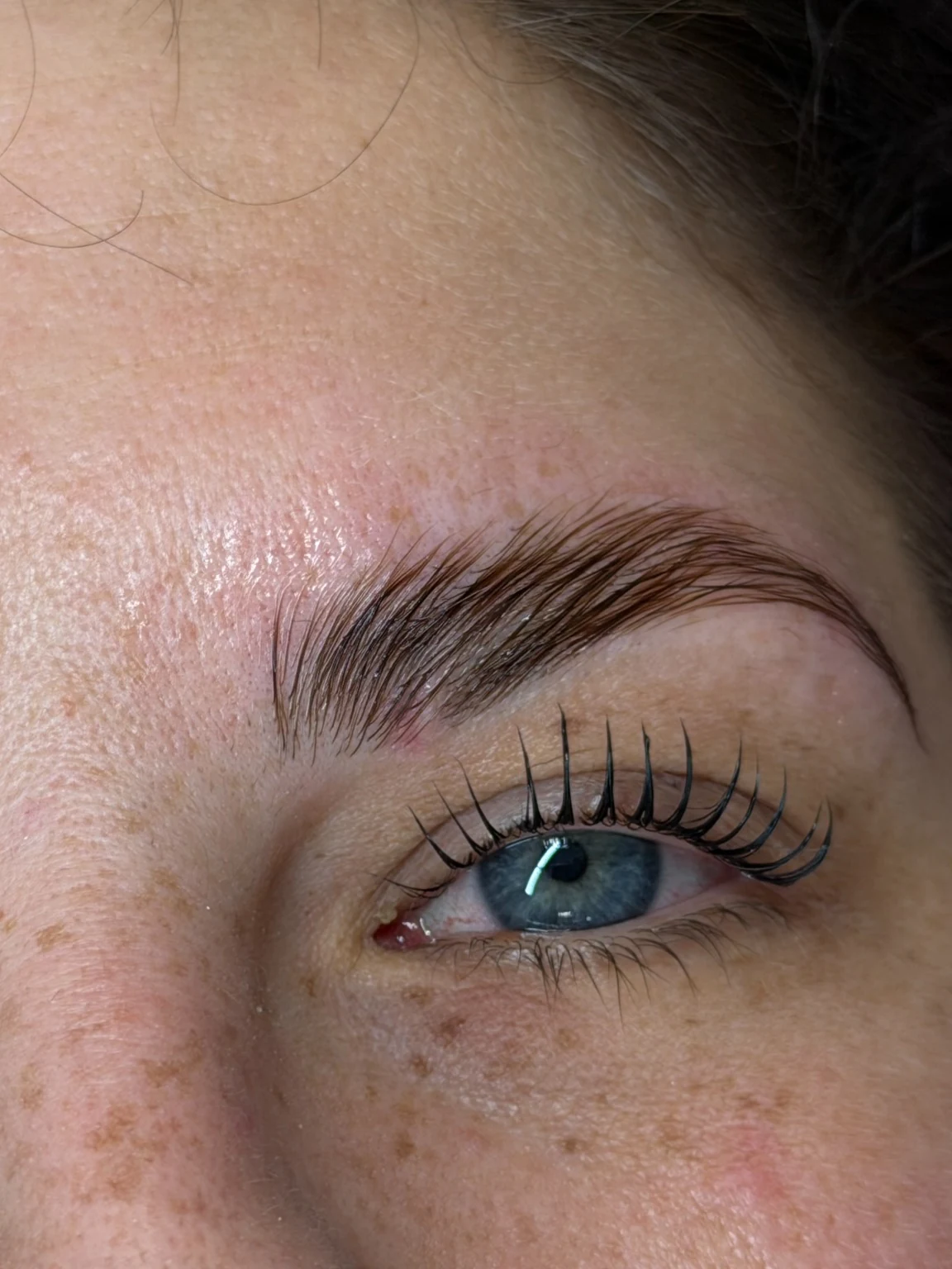 Browlifting Ergebnis mit vollständig sichtbarer Augenbraue bei cam.lashbar in Hannover
