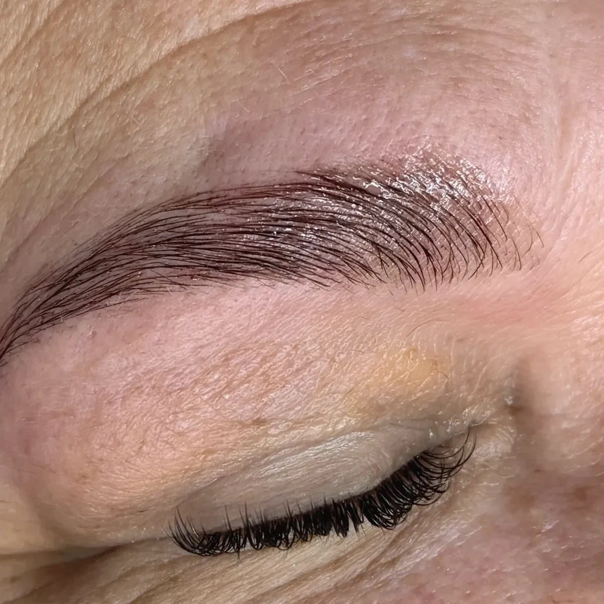 Augenbraue nach der Personalisierten Brow Lamination