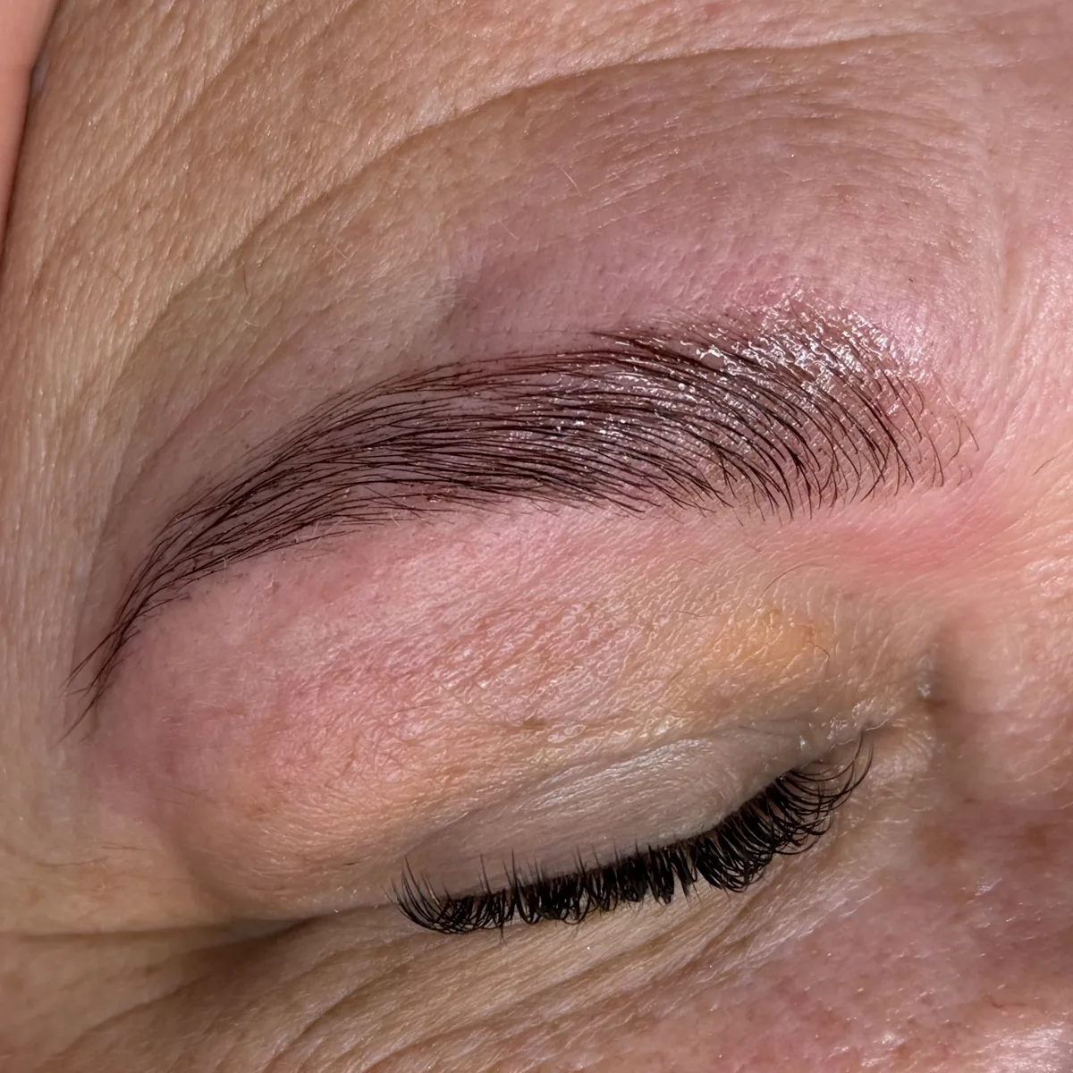 Nachher: definierte, geliftete und getönte Augenbraue nach dem Browlifting bei cam.lashbar Hannover
