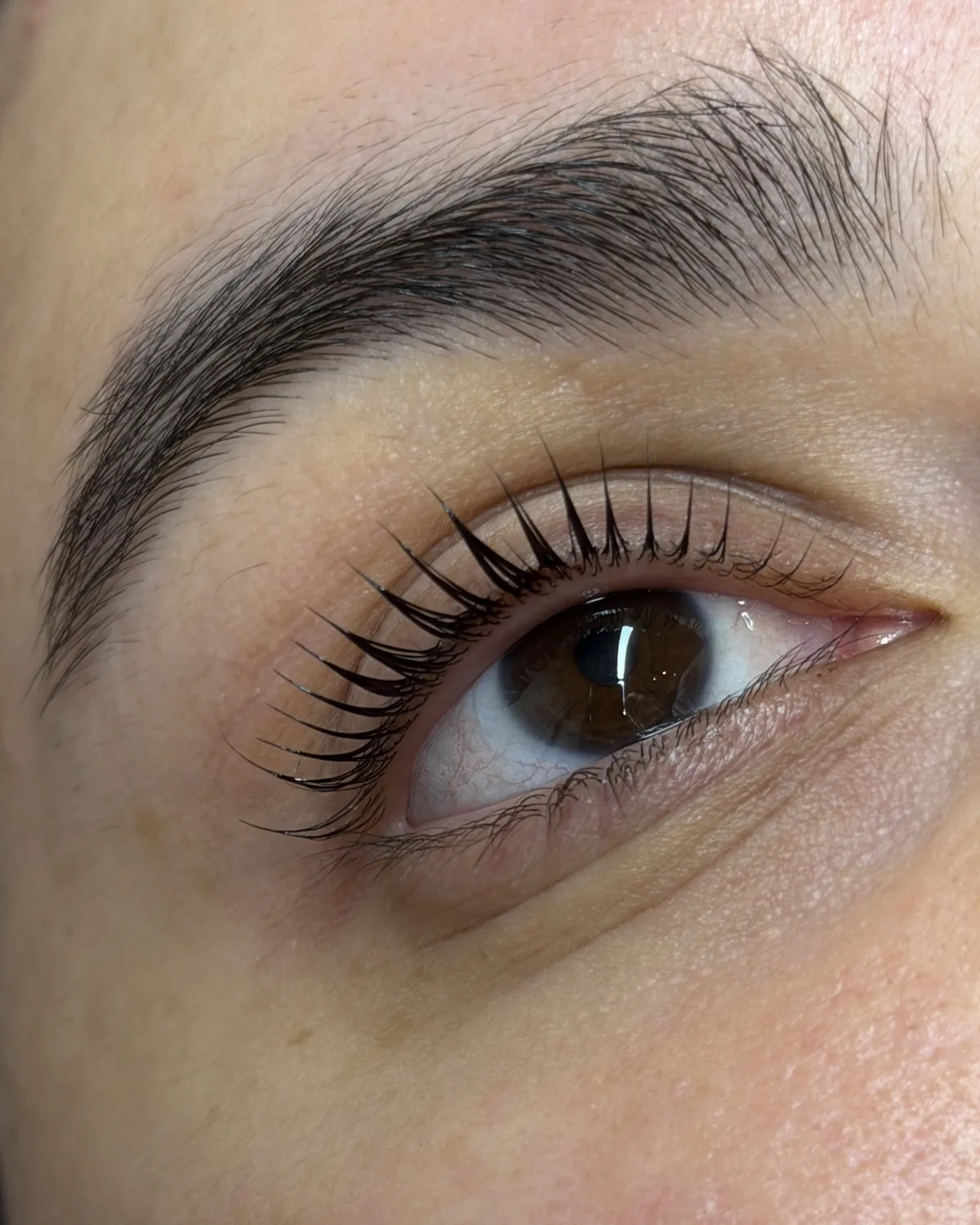 Korean Lashlifting im Detail – gleichmäßig gelifteter Wimpernkranz in Nahaufnahme bei cam.lashbar Hannover