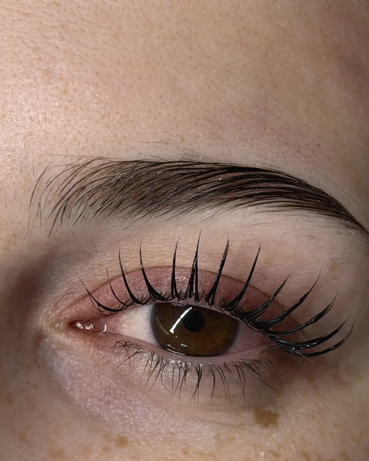 Korean Lashlifting bei sehr langen Naturwimpern
