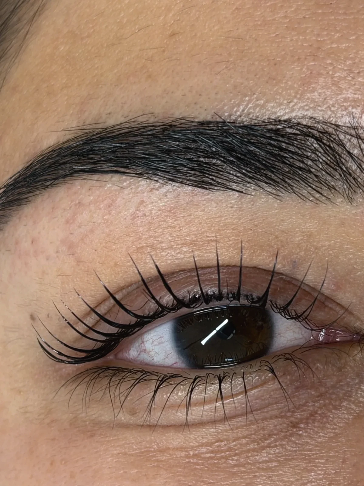 Korean Lashlifting mit Färben, sauber gelifteter Wimpernkranz
