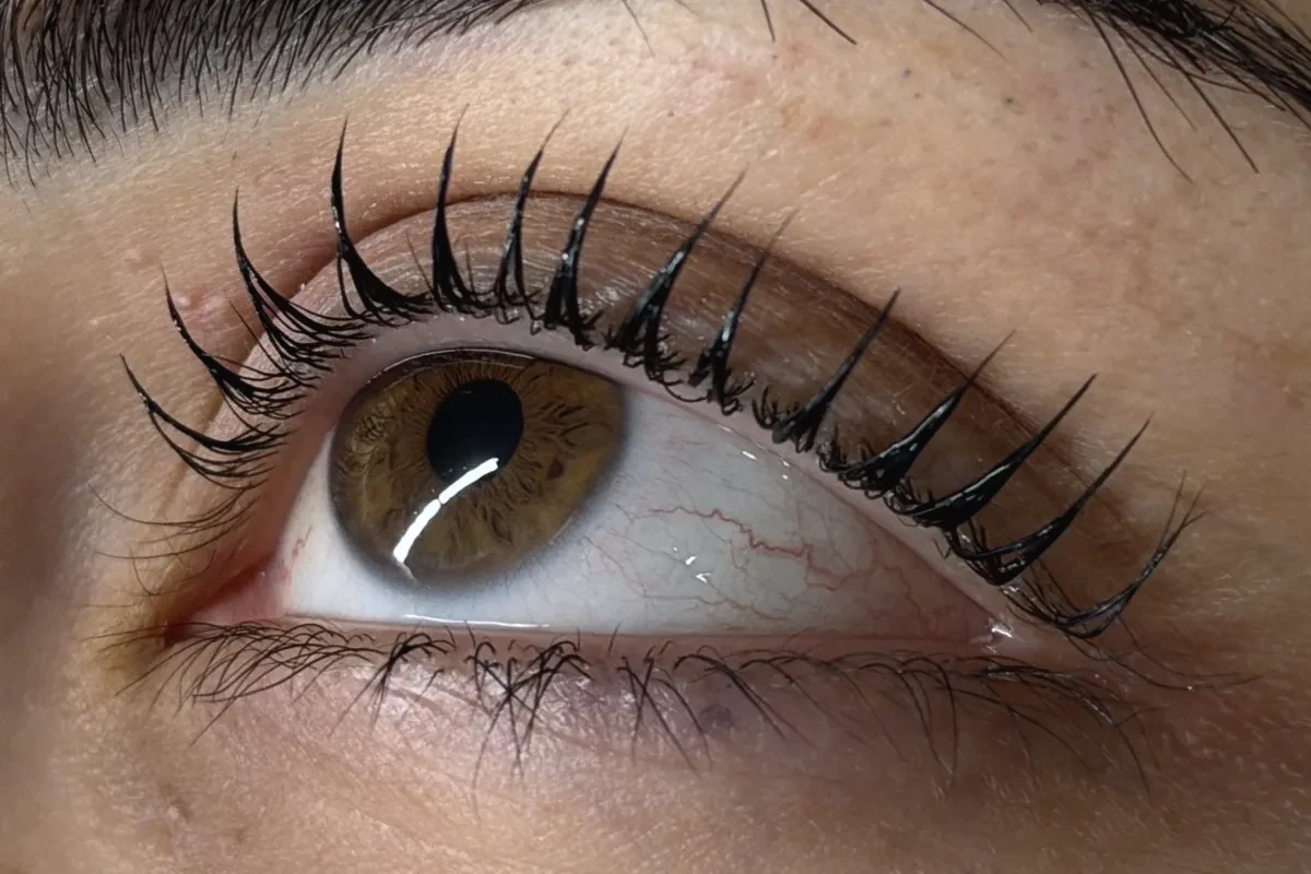 Nachher: gleichmäßig gelifteter Wimpernkranz nach dem Korean Lashlifting bei cam.lashbar