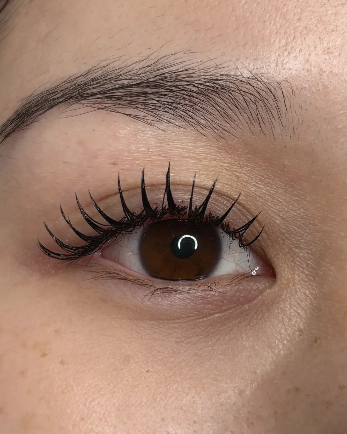 CAM Lami Lash in Spike-Technik, weich und voll