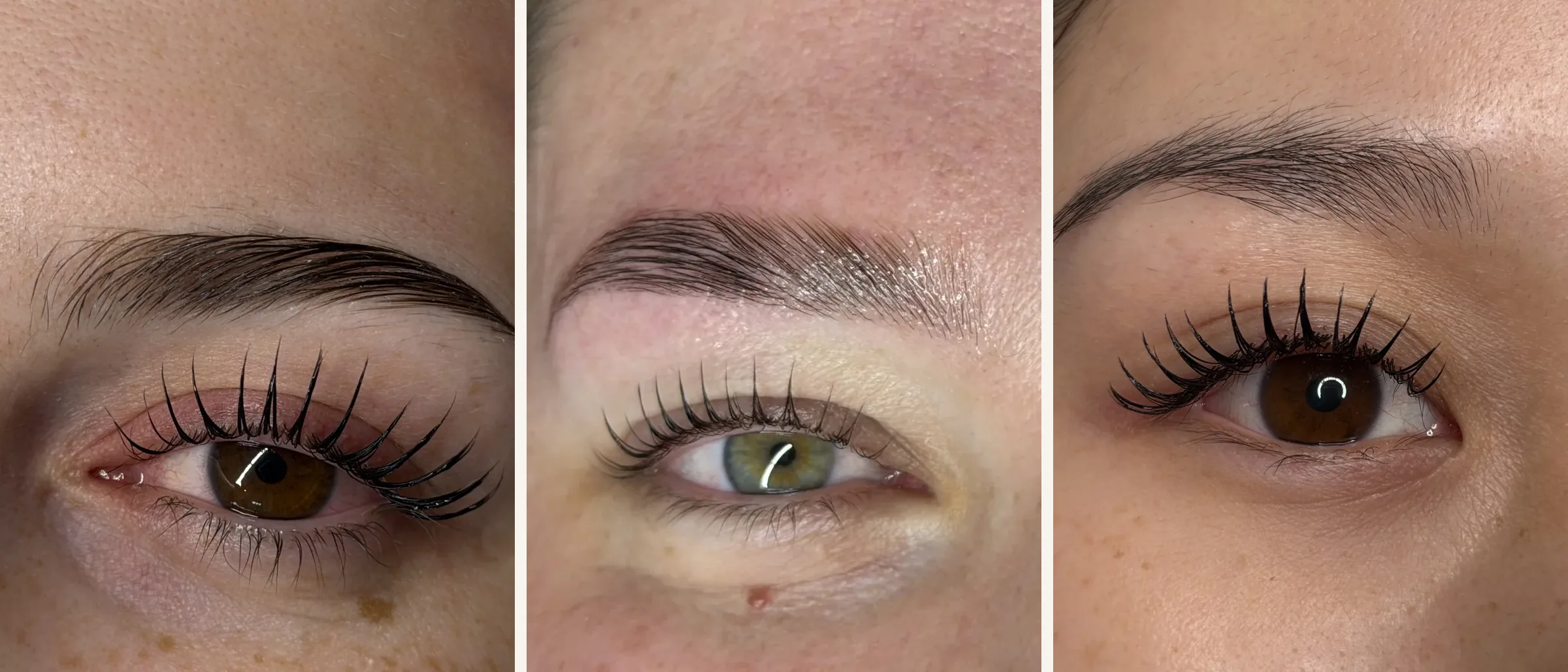 Drei Ergebnisse aus dem Studio: Korean Lashlifting, Perfect Eye Package und CAM Lami Lash