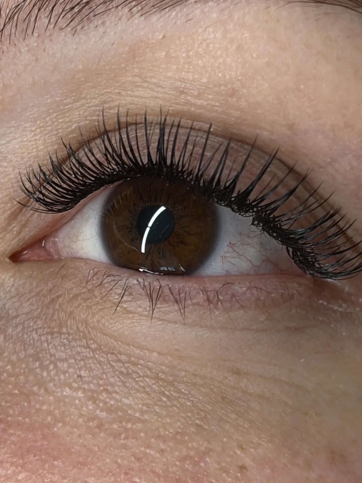 Hybrid Lash Set mit weichem Volumen