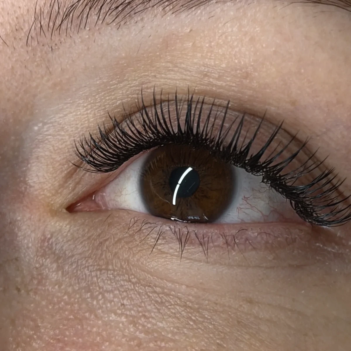 Hybrid Lash Set